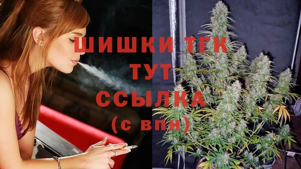 PSILOCYBIN Михайлов