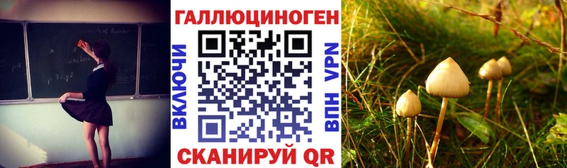 Галлюциногенные грибы мицелий  Новомичуринск 